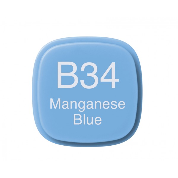 Copic Marker - B34