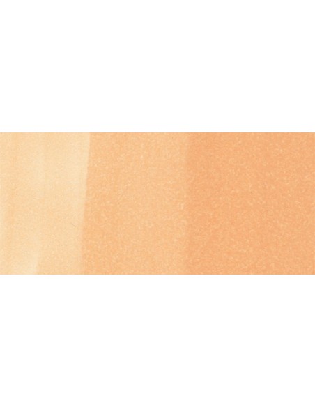 Copic Marker - E21