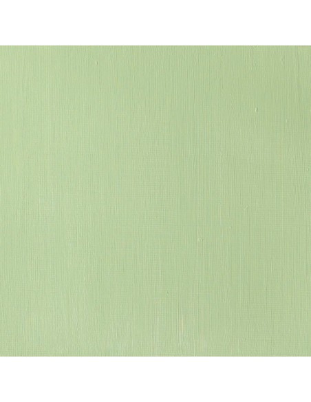 Tubetto Acrilico Galeria 60 ml Verde Hooker 311