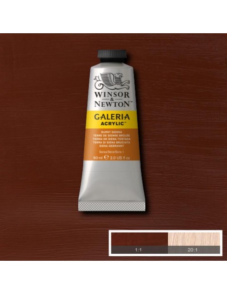 Tubetto Acrilico Galeria 60 ml Terra di Siena Bruciata 74