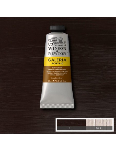Tubetto Acrilico Galeria 60 ml Terra d'ombra bruciata 76