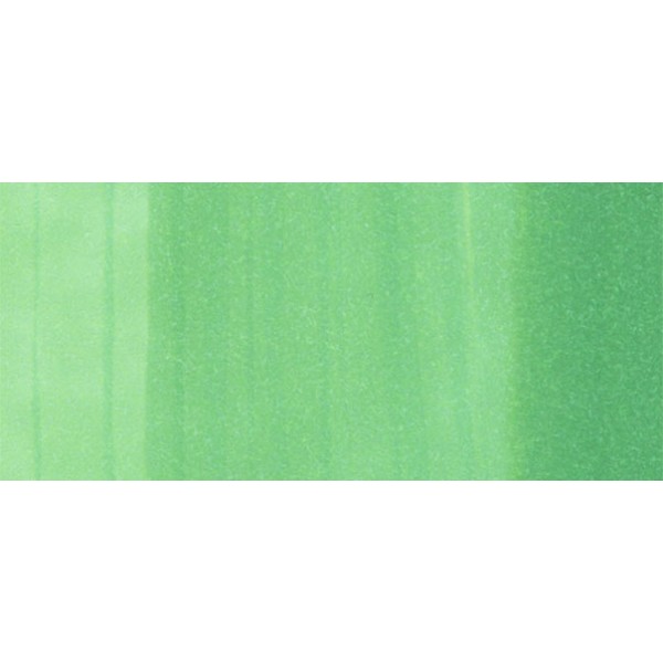 Copic Ciao - YG09