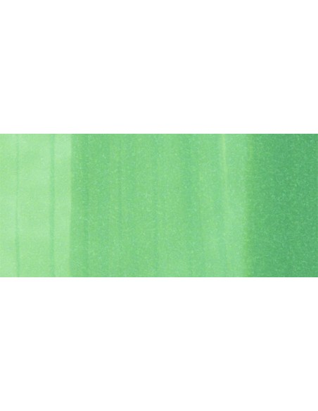 Copic Ciao - YG09