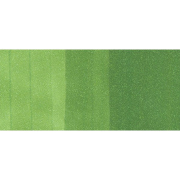 Copic Ciao - YG17